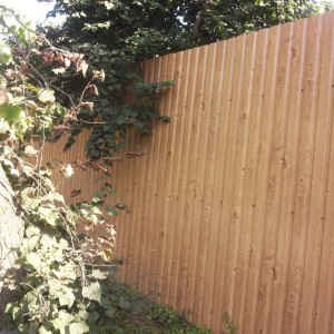 Сайдинг МеталлПрофиль Корабельная доска Сосна Текстурированная Матовая Глянцевая