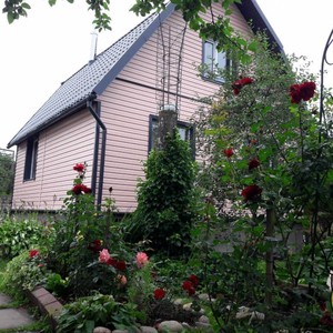 Отделка фасада панелями Канада Плюс Престиж Земляничный