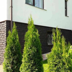 Монтаж цокольного сайдинга Альта-Профиль Фагот Чеховский 80м2